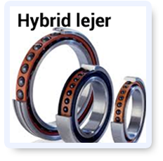 Hybrid-lejer